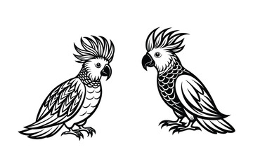 This is cokatoo bird vector icon illustration wortk