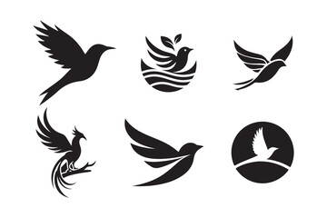 set of bird silhouette logo design template black and white	