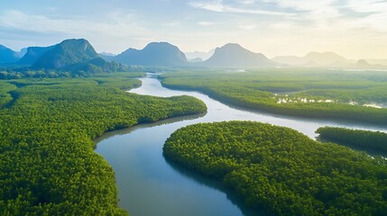 Fototapeta premium Aerial mangrove forests view at Phang Nga Thailand : Generative AI