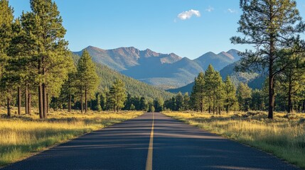 Winding Road Through a Mountain Pass with a Forest of Pine Trees