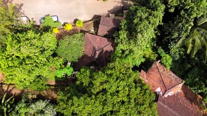 Aerial view of a lush green landscape featuring several houses with terracotta roofs surrounded by dense trees and foliage.