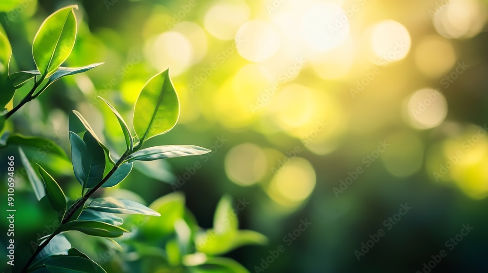 Poster Beautiful nature view of green leaf on blurred greenery background in garden and sunlight with copy space using as background natural green plants landscape ecology fresh wallpaper con : Generative AI