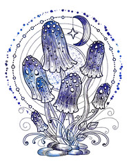 Styled vintage illustration with mystic mushrooms, magic and floral decorative elements, witchcraft symbols isolated on white. Esoteric and witchy concept, tattoo art