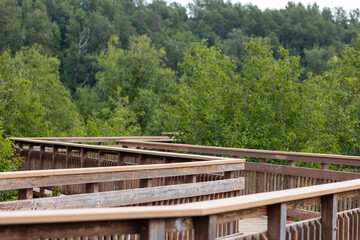 Potter Marsh Wildlife Viewing Boardwalk, Anchorage Alaska Bird Viewing