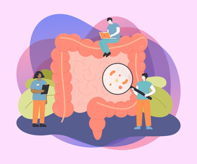 Team of tiny doctors checking bowel for inflammation. People examining intestines or colon, digestive system flat vector illustration. Health, medicine concept for banner or landing page