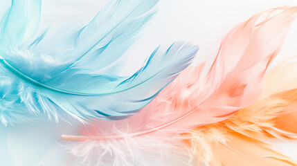 Obraz premium Soft pastel colored feathers abstract background light delicate feathers texture feather background light blue feathers coral pink feathers