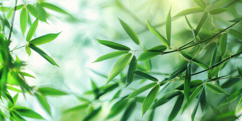 Serene Bamboo Leaves in Sunlight   Calm Nature and Fresh Greenery for Wellness and Decor