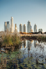 Fototapeta premium edificios en altura de argentina