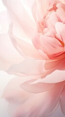 Flower petal backgrounds dahlia.