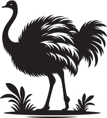Ostriches bird Silhouette isolated on white background ostrich vector shape icon