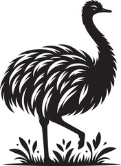 Ostriches bird Silhouette isolated on white background ostrich vector shape icon