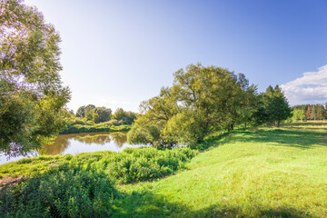 Fototapeta premium A peaceful scene of a river with trees and grass in the background