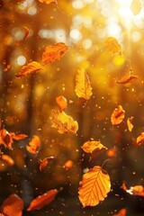 Golden Autumn Leaves Falling in Sunlit Forest Capturing the Essence of Fall Season with Warm Colors and Natural Beauty