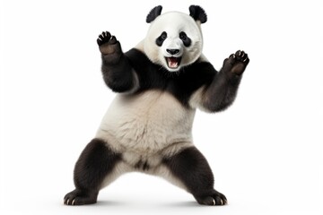 Fototapeta premium Happy smiling panda dancing wildlife mammal animal.