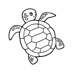 turtle cartoon sketch vector illustration