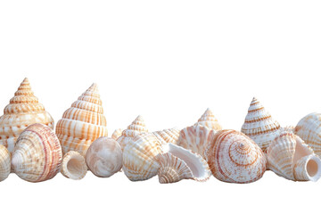 Obraz premium Collection of various seashells with intricate patterns isolated on a transparent background. Natural beauty perfect for coastal and marine themes.