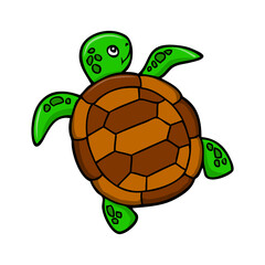 turtle cartoon vector illustration