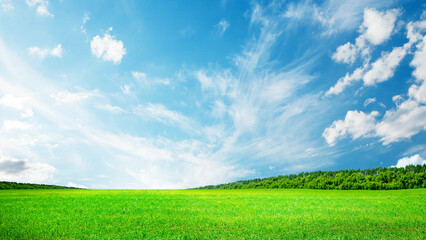 Summer landscape with green field and sky