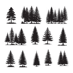 Obraz premium set of silhouettes of pine trees on white background