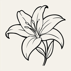 Lily Line Art Vector Floral Illustration