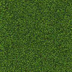 Obraz premium texture of grass