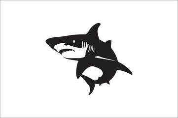 shark silhouette vector illustration. Different kind of sharks.