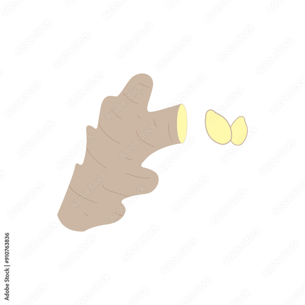 Poster ginger vector. ginger on white background. free space for text. copy space.