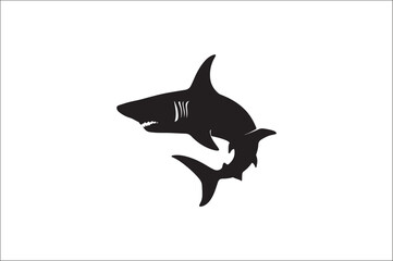 shark silhouette vector illustration. Different kind of sharks.