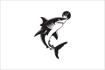 shark silhouette vector illustration. Different kind of sharks.