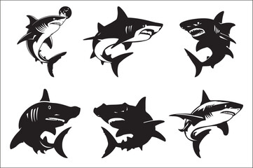 shark silhouette vector Bundle illustration. Different kind of sharks set. 