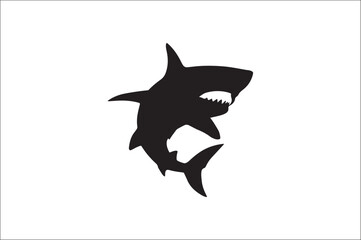 shark silhouette vector illustration. Different kind of sharks.