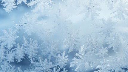 Frost Patterns on Window