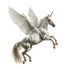 Fototapeta premium Flying white horse with wings isolated on a transparent background