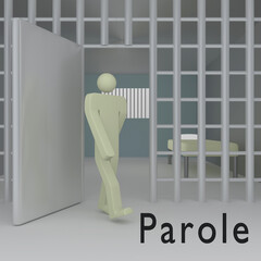 parole - legal concept
