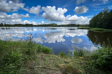 Summer landscape with pond and forest under amazing blue sky with white clouds