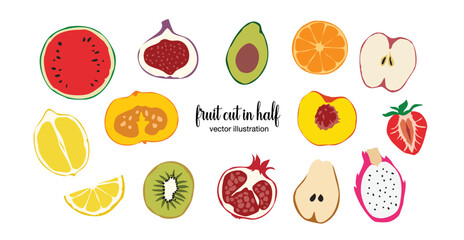 Fruit cut in Hand-drawn style set , cut in half, Drawing of food elements for design menu label packaging . icons vector illustration	