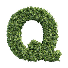 Realistic plant leaves bush alphabet letter Q isolated on transparent background. It is part of a set which also includes lowercase letters, numbers and shapes.
