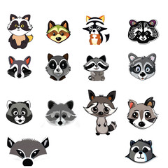 Cute raccoon heads in fun comic doodle style. Funny characters, set. Flat vector illustration isolated on white background,eps