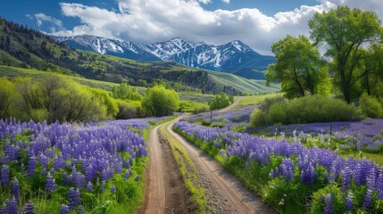 Springtime vacations to scenic destinations offer opportunities for relaxation and exploration in rejuvenating natural settings