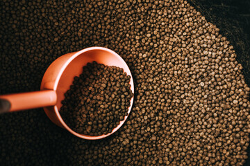 Dry food for animals. Animal food close-up top view. Granulated food for fish or dog. Copy Space background