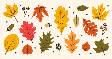 Cartoon Autumn Leaves and Fall Leaf, Autumn Background, Autumn Harvest, Autumn Tree, Falling Leaves, Autumn Leaves in SVG Vector Isolated Leaves