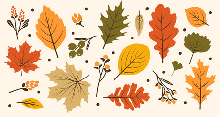Cartoon Autumn Leaves and Fall Leaf, Autumn Background, Autumn Harvest, Autumn Tree, Falling Leaves, Autumn Leaves in SVG Vector Isolated Leaves
