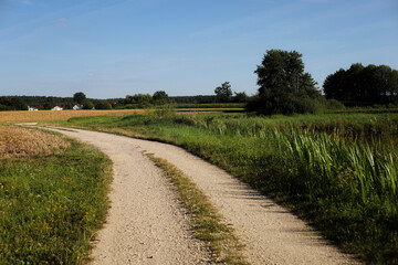 summer. nature. village. flowers. sunny day