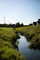 summer. nature. village. flowers. sunny day