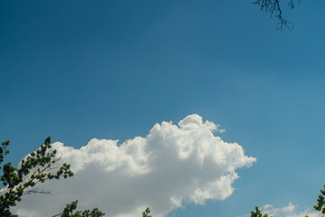 Obraz premium Cumulus white cloud with shadows against a blue sky, tree branches in the foreground, copy space. Blank for artwork