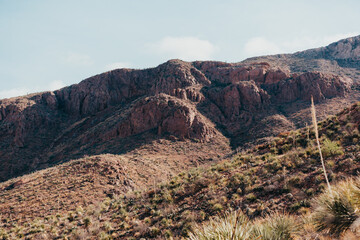 Vista of Franklin Mountains State Park Overlooking a Valley of Sotol