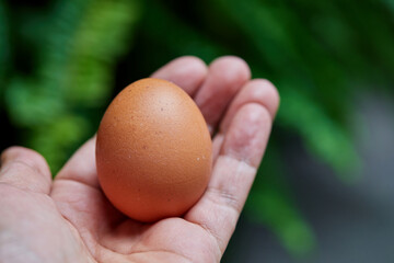 Close-up of chicken egg on hand