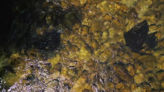 Pristine Rocky River Of R&iacute;o L&eacute;rez
