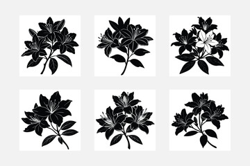 White background azalea flower silhouette illustrations set
