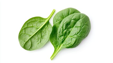Fototapeta premium Fresh spinach leaves, cut into halves, displaying the vibrant green color and crisp texture. Isolated on a pristine white background